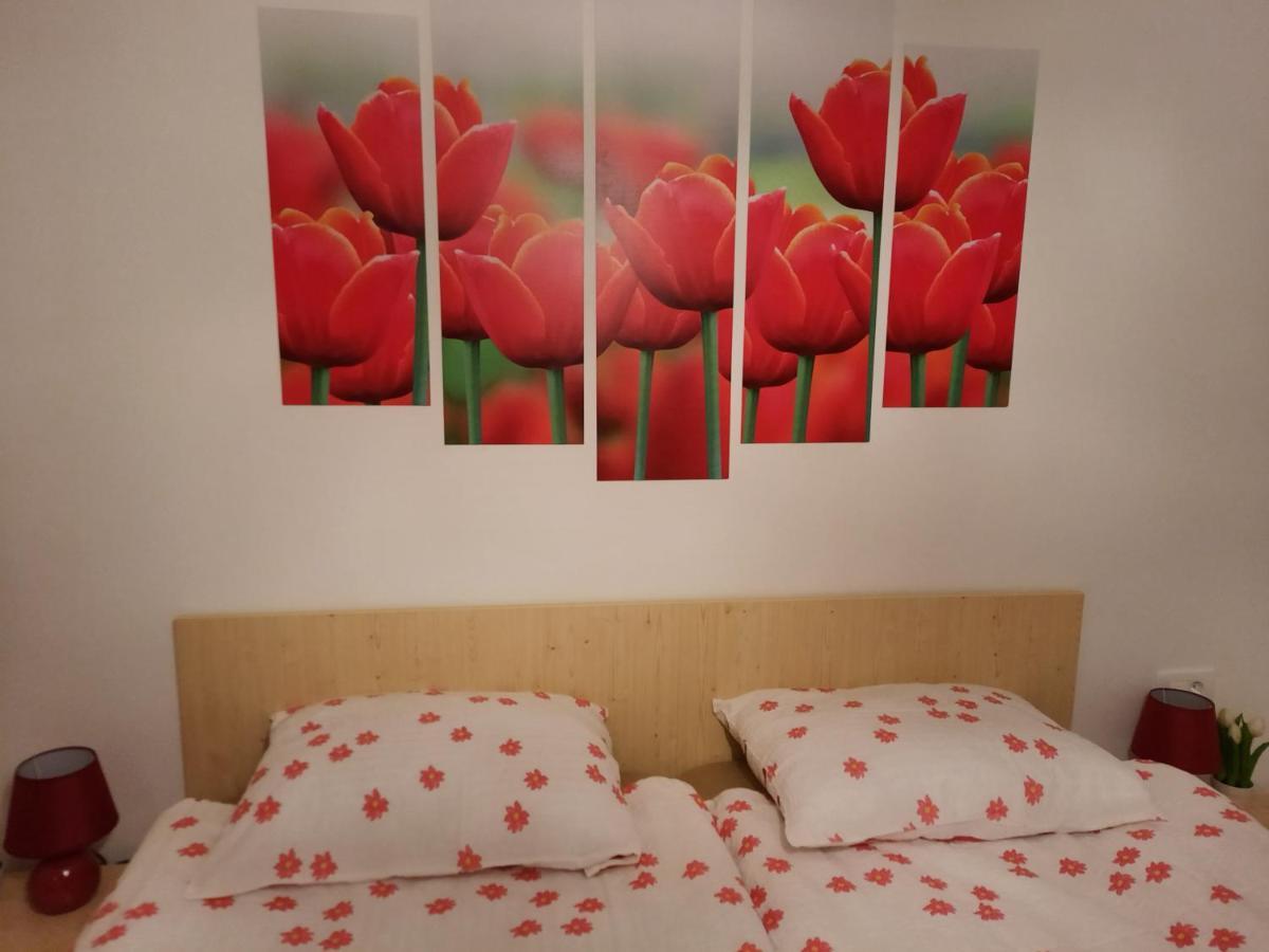 Apartma Rozle Мойстрана Экстерьер фото