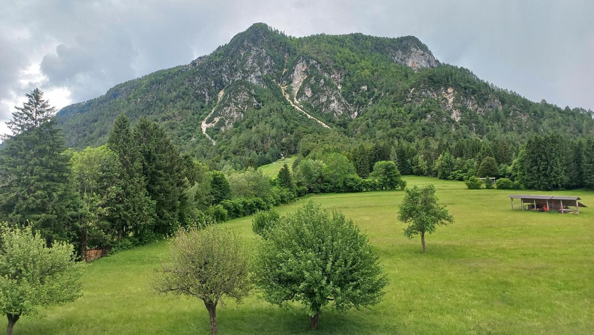 Apartma Rozle Мойстрана Номер фото